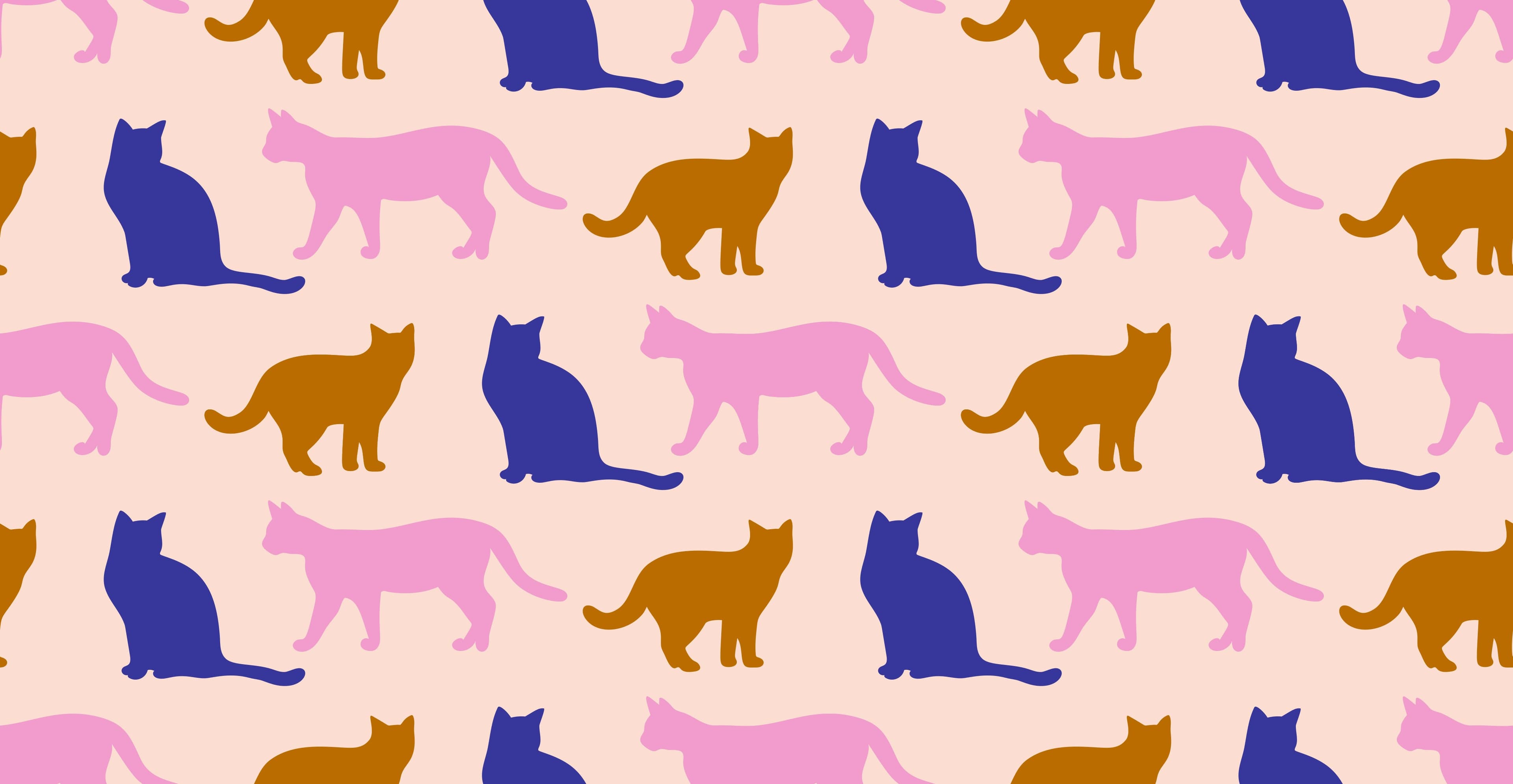 插畫風格繪製的貓